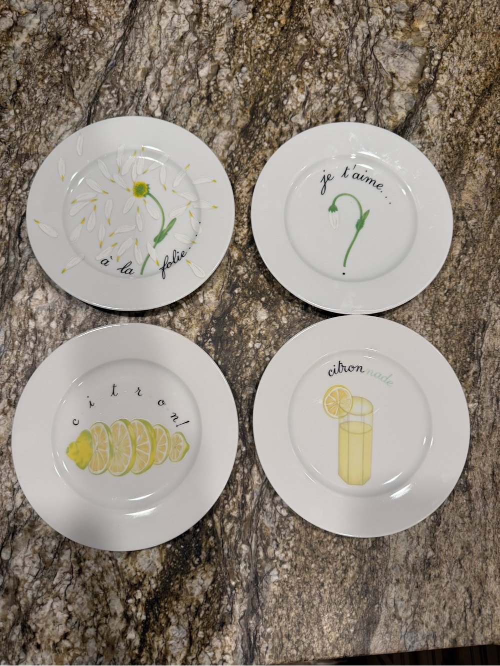 Amazing FIND Set of 4 Porcelaine de Sologne Limoge plates